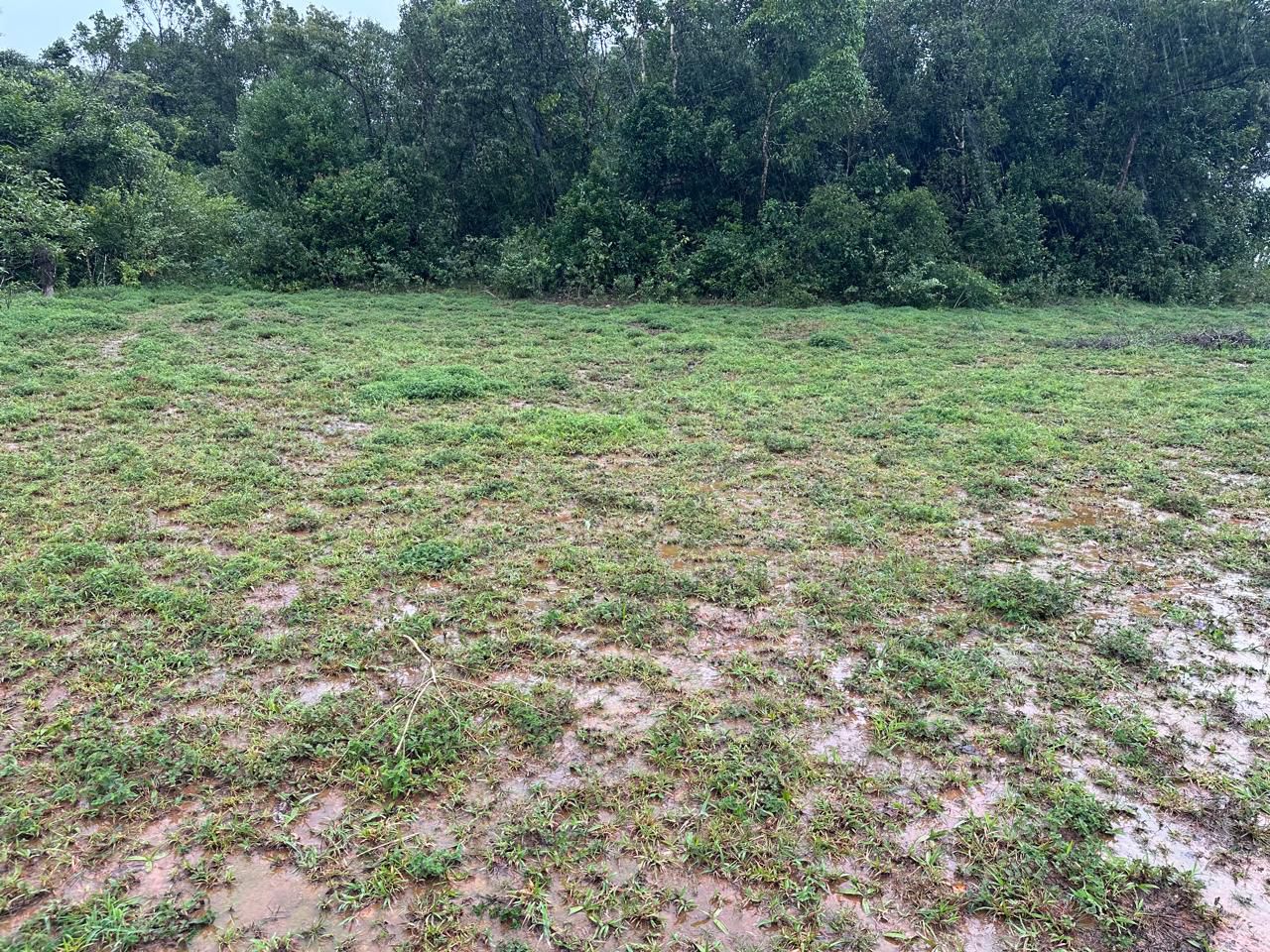  2.5 Acre Land for Sale – Mudigere